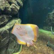 ヒメ日記 2026/02/22 10:23 投稿 こはる 出会い系人妻ネットワーク さいたま～大宮編