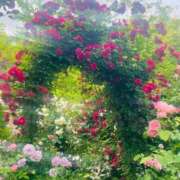 ヒメ日記 2026/02/24 10:32 投稿 こはる 出会い系人妻ネットワーク さいたま～大宮編