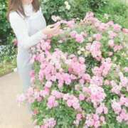 ヒメ日記 2026/03/30 15:32 投稿 こはる 出会い系人妻ネットワーク さいたま～大宮編