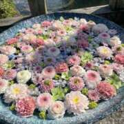 ヒメ日記 2026/04/07 19:12 投稿 こはる 出会い系人妻ネットワーク さいたま～大宮編