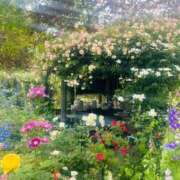 ヒメ日記 2026/04/09 08:22 投稿 こはる 出会い系人妻ネットワーク さいたま～大宮編