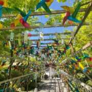 ヒメ日記 2026/04/10 08:41 投稿 こはる 出会い系人妻ネットワーク さいたま～大宮編