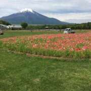ヒメ日記 2026/02/15 09:54 投稿 こはる 出会い系人妻ネットワーク 春日部〜岩槻編