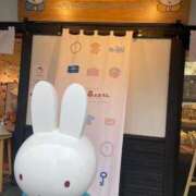 ヒメ日記 2026/02/17 15:24 投稿 こはる 出会い系人妻ネットワーク 春日部〜岩槻編