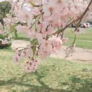 ヒメ日記 2026/02/21 13:04 投稿 こはる 出会い系人妻ネットワーク 春日部〜岩槻編