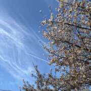 ヒメ日記 2026/04/04 00:42 投稿 茉陽奈／まひな 大宮人妻セレブリティ（ユメオト）