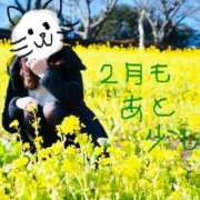 ヒメ日記 2026/02/18 13:34 投稿 わかな 東京人妻セレブリティ（ユメオト）