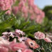 わかな 退勤しました☺️ 東京人妻セレブリティ（ユメオト）