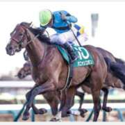 ヒメ日記 2026/03/01 15:02 投稿 わかな 東京人妻セレブリティ（ユメオト）