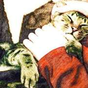 ヒメ日記 2026/03/03 21:40 投稿 わかな 東京人妻セレブリティ（ユメオト）