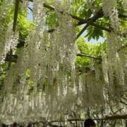 ヒメ日記 2026/03/06 23:06 投稿 わかな 東京人妻セレブリティ（ユメオト）