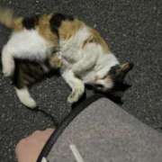 ヒメ日記 2026/04/09 15:01 投稿 わかな 東京人妻セレブリティ（ユメオト）