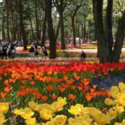 ヒメ日記 2026/04/10 22:45 投稿 わかな 東京人妻セレブリティ（ユメオト）