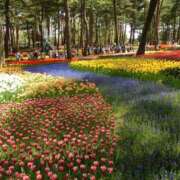 ヒメ日記 2026/04/16 15:30 投稿 わかな 東京人妻セレブリティ（ユメオト）