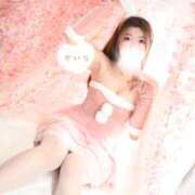 ヒメ日記 2026/04/16 16:25 投稿 せいら The White