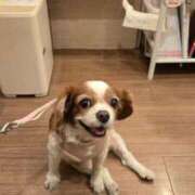 もも 🥺 Polaris（ポラリス）