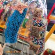 ヒメ日記 2026/02/23 10:02 投稿 小森ひより 全裸コレクション or 妄想痴漢電車