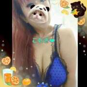 ヒメ日記 2026/02/14 12:45 投稿 こむぎ ペントハウス