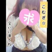 ヒメ日記 2026/02/17 12:33 投稿 こむぎ ペントハウス