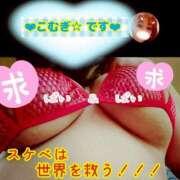 ヒメ日記 2026/02/19 17:23 投稿 こむぎ ペントハウス