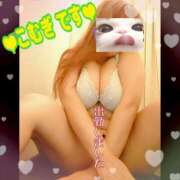 ヒメ日記 2026/03/04 13:40 投稿 こむぎ ペントハウス