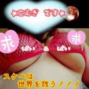 ヒメ日記 2026/03/08 16:20 投稿 こむぎ ペントハウス