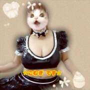 ヒメ日記 2026/03/13 20:32 投稿 こむぎ ペントハウス