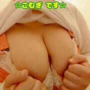 ヒメ日記 2026/03/14 16:20 投稿 こむぎ ペントハウス