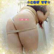 ヒメ日記 2026/03/19 16:23 投稿 こむぎ ペントハウス