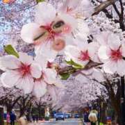 ヒメ日記 2026/03/19 20:38 投稿 こむぎ ペントハウス