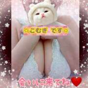 ヒメ日記 2026/03/20 16:34 投稿 こむぎ ペントハウス