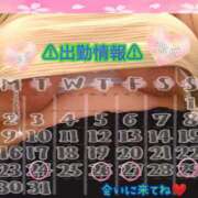 ヒメ日記 2026/03/22 18:13 投稿 こむぎ ペントハウス