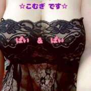 ヒメ日記 2026/04/21 17:31 投稿 こむぎ ペントハウス