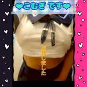 ヒメ日記 2026/04/22 13:42 投稿 こむぎ ペントハウス