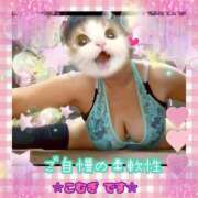 ヒメ日記 2026/04/24 16:41 投稿 こむぎ ペントハウス