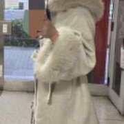 ヒメ日記 2026/02/13 17:28 投稿 うさぎ 名古屋デッドボール