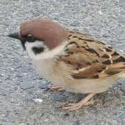 ヒメ日記 2026/02/14 09:02 投稿 うさぎ 名古屋デッドボール