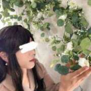 ヒメ日記 2026/02/14 18:36 投稿 うさぎ 名古屋デッドボール