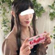 ヒメ日記 2026/02/19 20:27 投稿 うさぎ 名古屋デッドボール