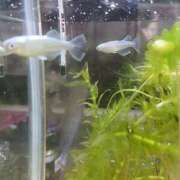 みお 🌥️🌂 ミラー