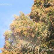 みお こんにちは🩷 ミラー