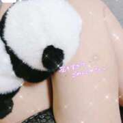 ヒメ日記 2026/02/17 23:52 投稿 伊波　いよな ベルサイユの薔薇