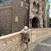 ヒメ日記 2026/03/09 11:05 投稿 Rito THE PREMIUM （プレミアム）