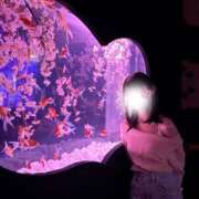 ヒメ日記 2026/04/14 16:50 投稿 Rito THE PREMIUM （プレミアム）