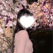 ヒメ日記 2026/04/17 11:00 投稿 Rito THE PREMIUM （プレミアム）