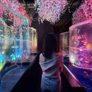 ヒメ日記 2026/04/17 23:10 投稿 Rito THE PREMIUM （プレミアム）