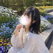 ヒメ日記 2026/05/14 12:01 投稿 Rito THE PREMIUM （プレミアム）
