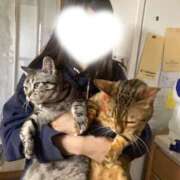 Rito るるちゃん＆ぽぽちゃんとまったり3ショット🐱💕 THE PREMIUM （プレミアム）
