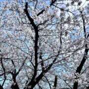 ヒメ日記 2026/04/03 21:00 投稿 ここ新人 THE・TRY