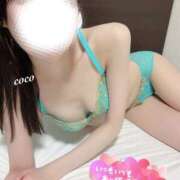 ここ新人 実はここちゃん? THE・TRY